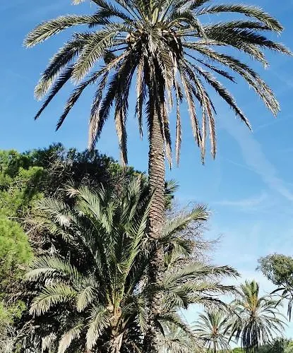 Playa Locos Apartament Torrevieja