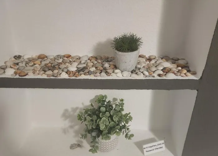 Playa Locos Apartament