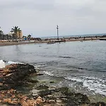 Playa Locos 托雷维耶哈