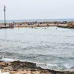 Playa Locos * 托雷维耶哈