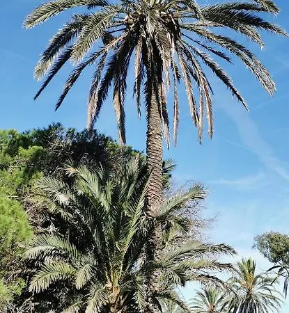 Playa Locos Appartement Torrevieja