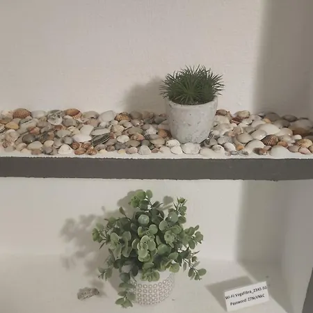 Playa Locos Apartman